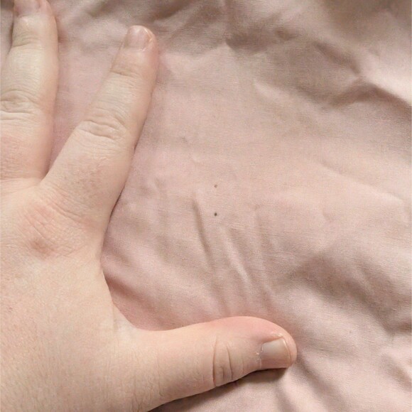 Orvis Pink Scalloped Long Sleeve Blouse Size 16 - Picture 2 of 4